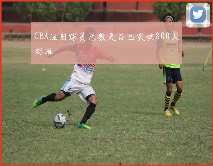 CBA注册球员总数是否已突破800人标准