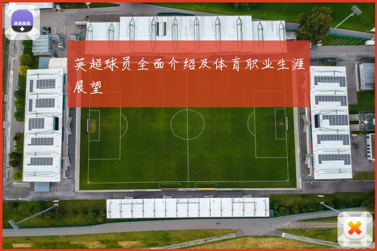 英超球员全面介绍及体育职业生涯展望