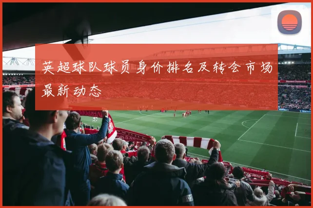 英超球队球员身价排名及转会市场最新动态